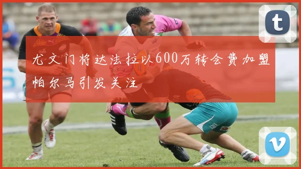 尤文门将达法拉以600万转会费加盟帕尔马引发关注