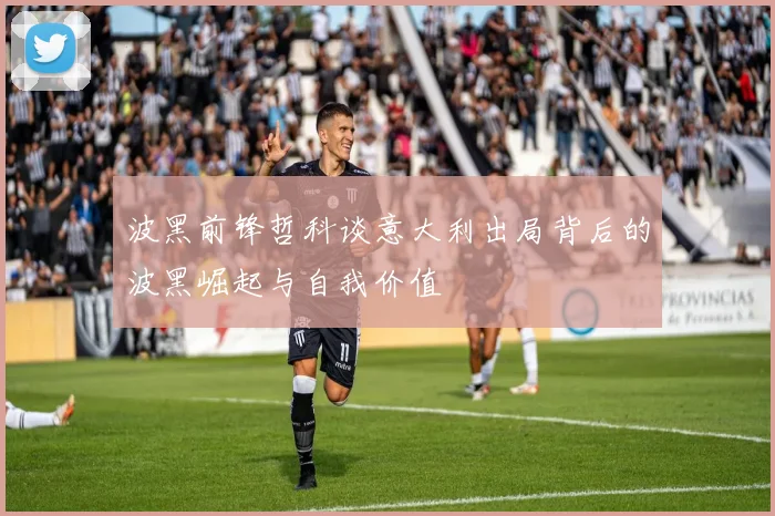 波黑前锋哲科谈意大利出局背后的波黑崛起与自我价值