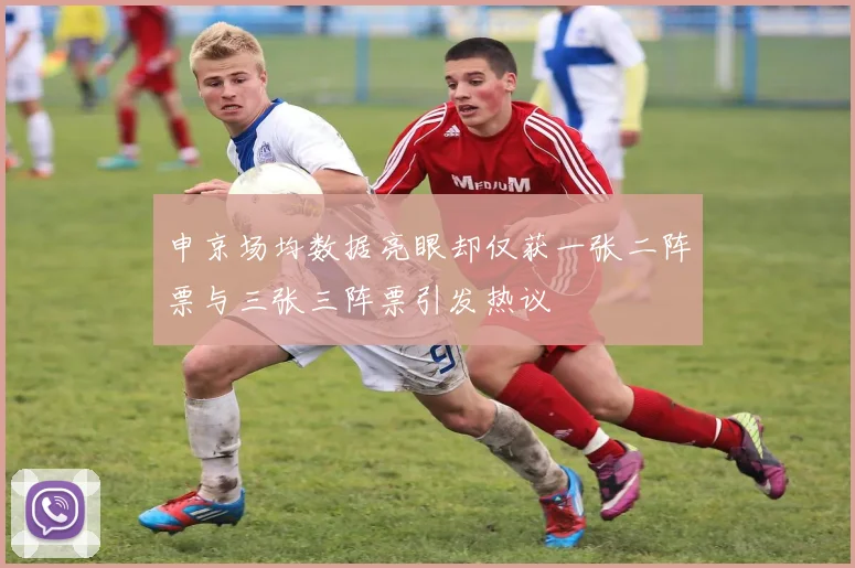 申京场均数据亮眼却仅获一张二阵票与三张三阵票引发热议